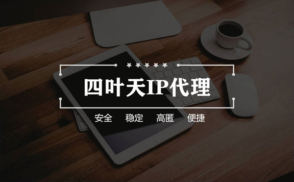 【聊城代理IP】如何快速搭建代理IP？怎么检查代理的效果？